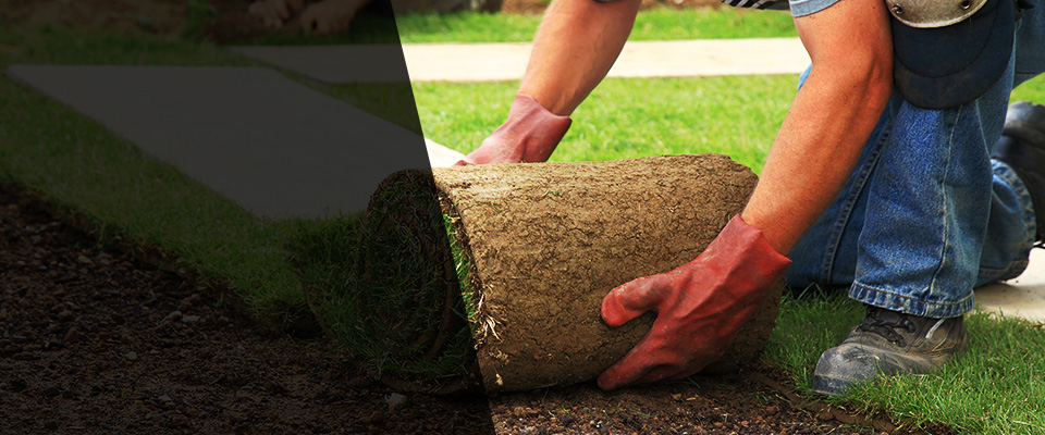 Saint Robert Landscapers